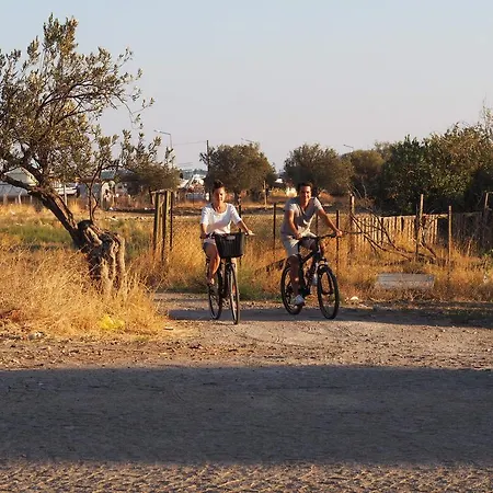 Mola Cunda Otel Ayvalı