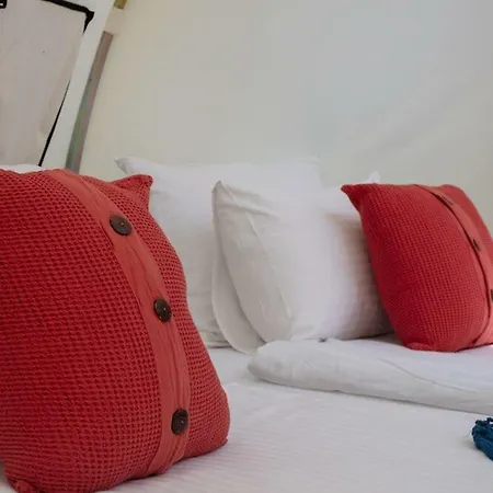 Mola Cunda 3* Ayvalı