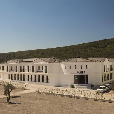Mola Cunda Ayvalı