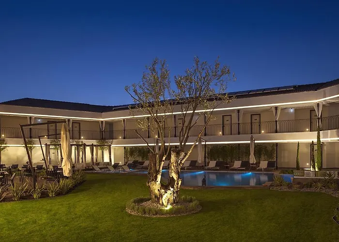 Mola Cunda 3* Ayvalı